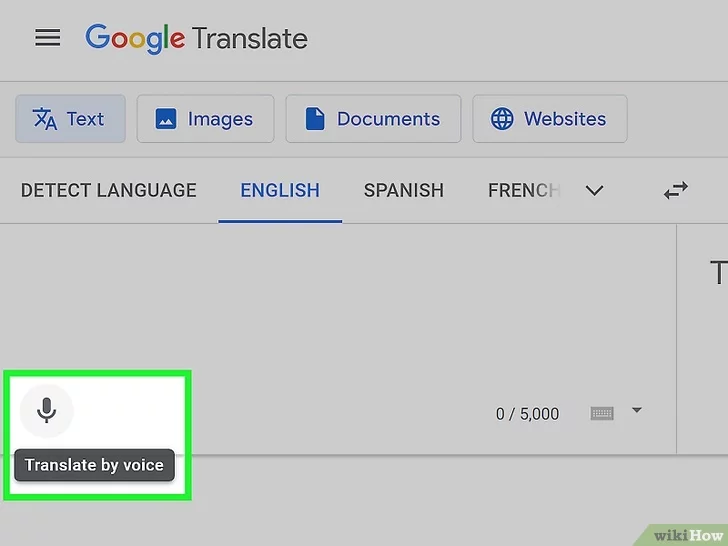 Use-Google-Translate