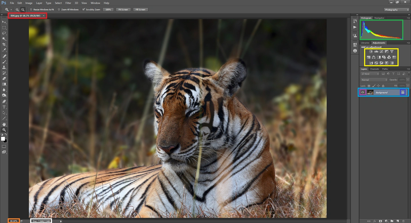 Mastering the Key Features of Adobe Photoshop: Beginners Guide